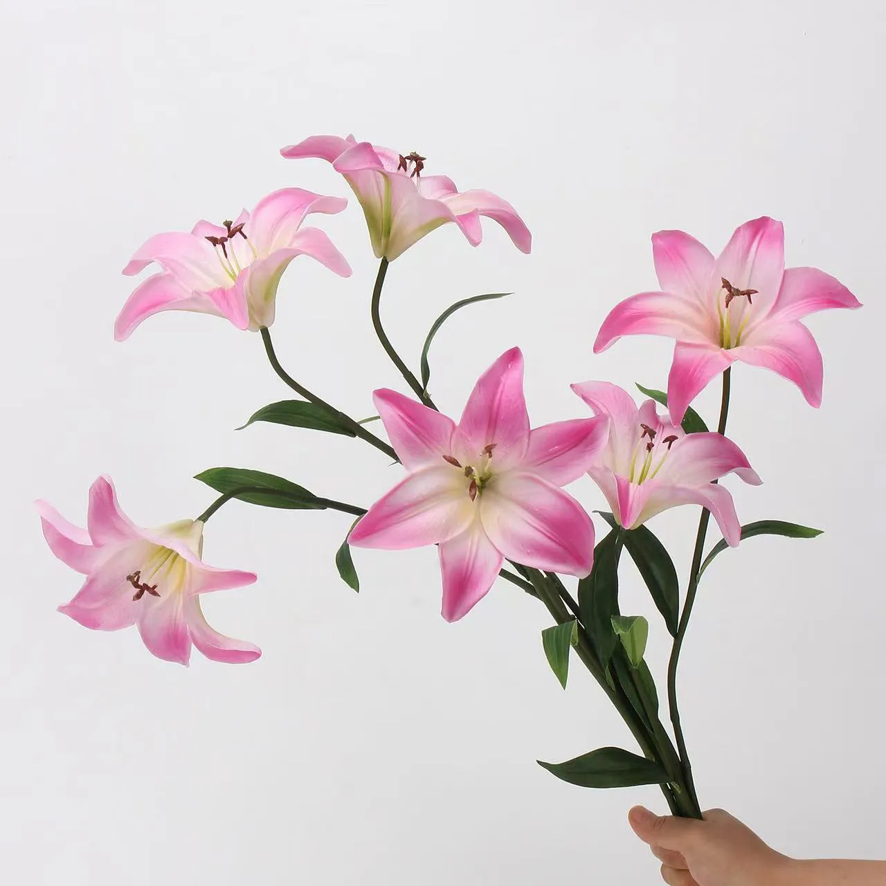 Solutions of silk flower cleaning spray