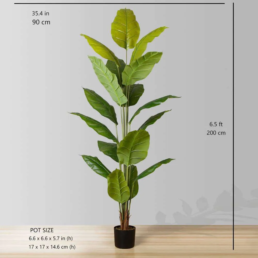 โรงงานกระถางใบ Spathiphyllum เทียม (หลายขนาด)