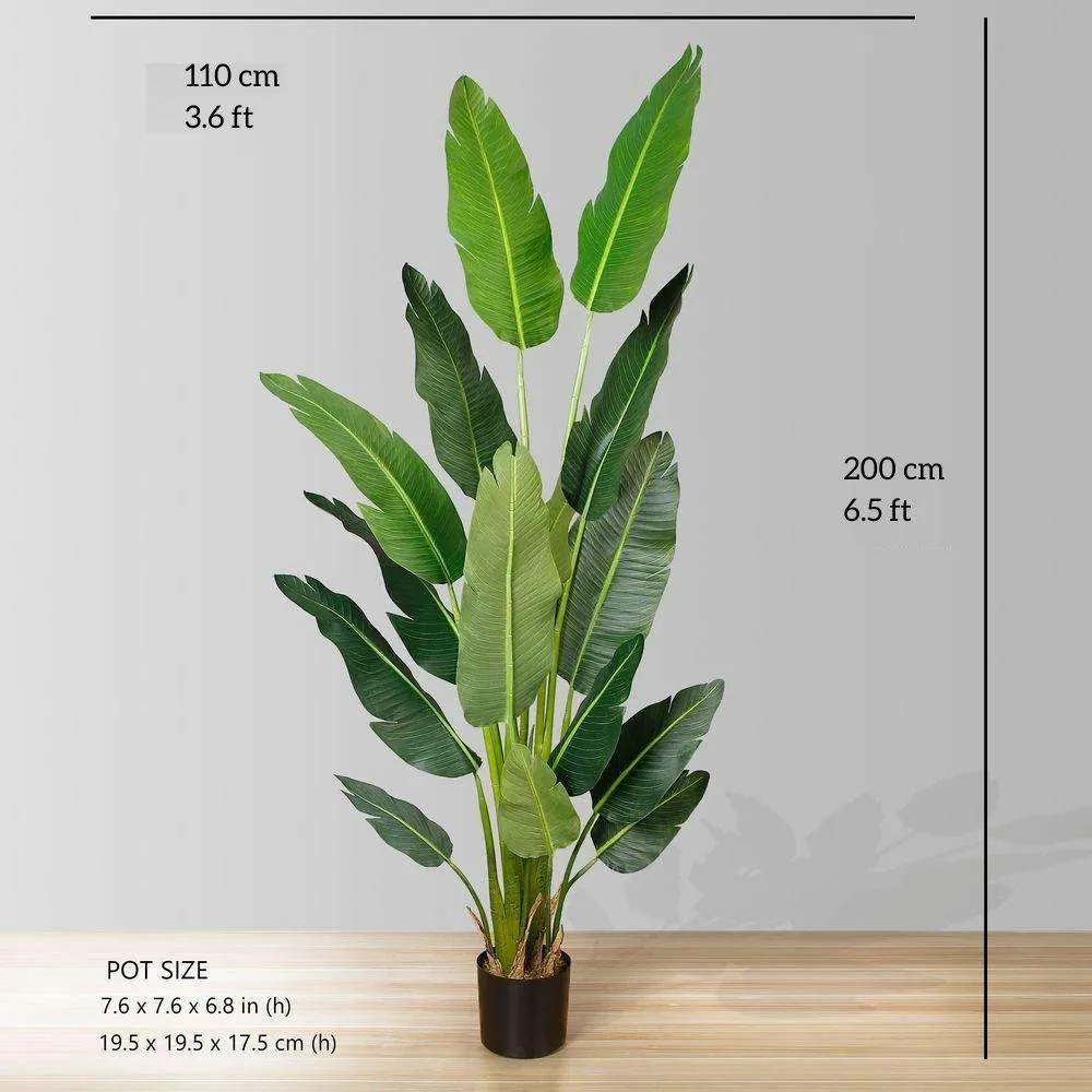 นกเทียมของพืชกระถางสวรรค์ (หลายขนาด)