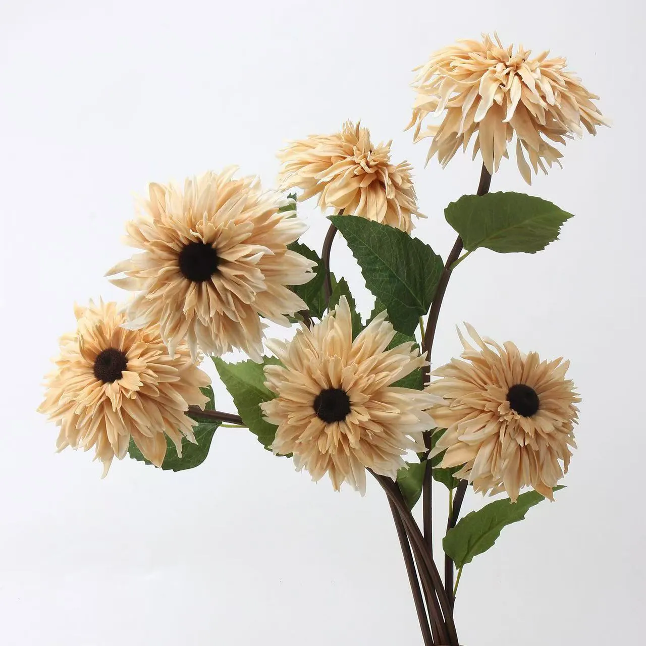 Solutions of peony flower crafts