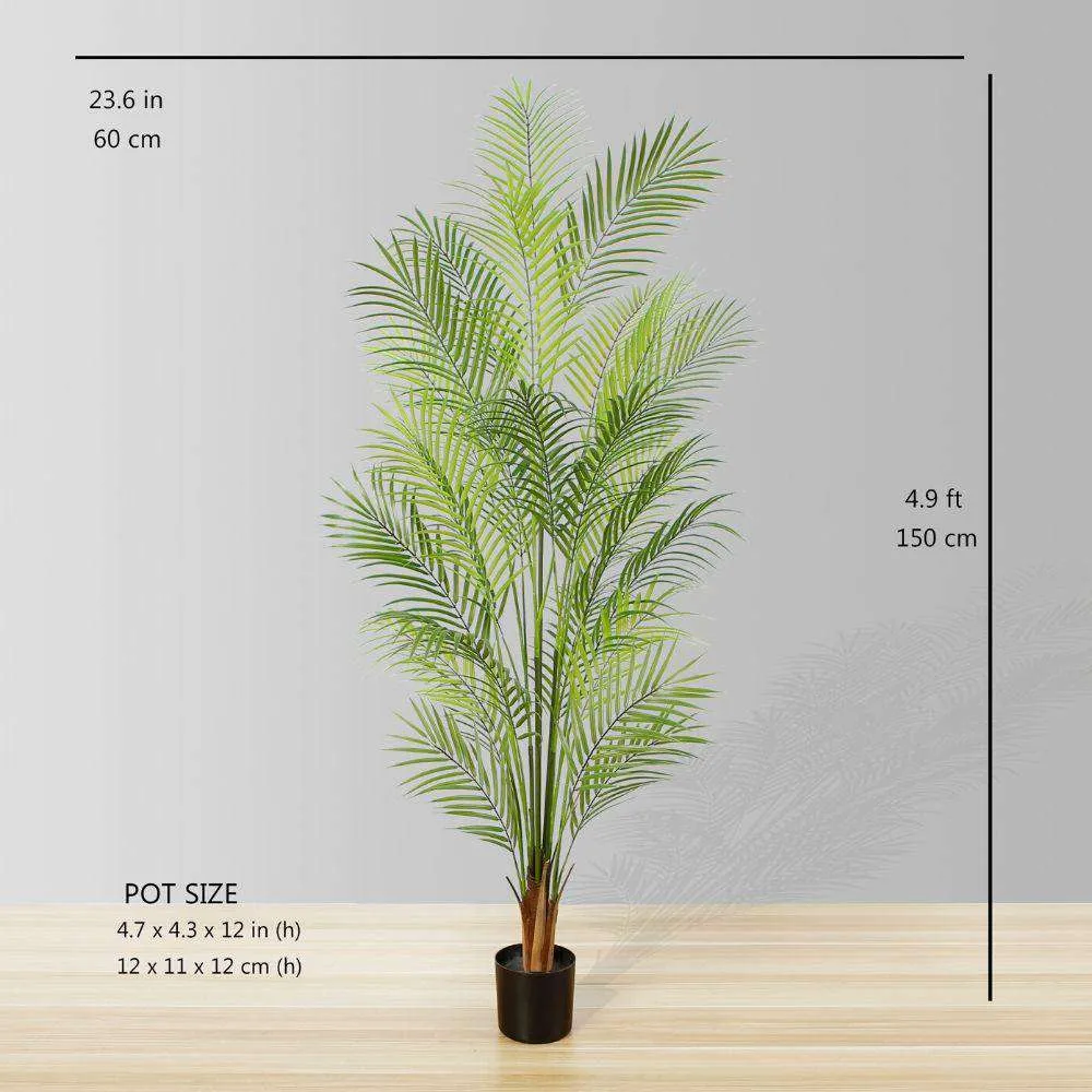 ต้นปาล์มต้นปาล์ม Areca