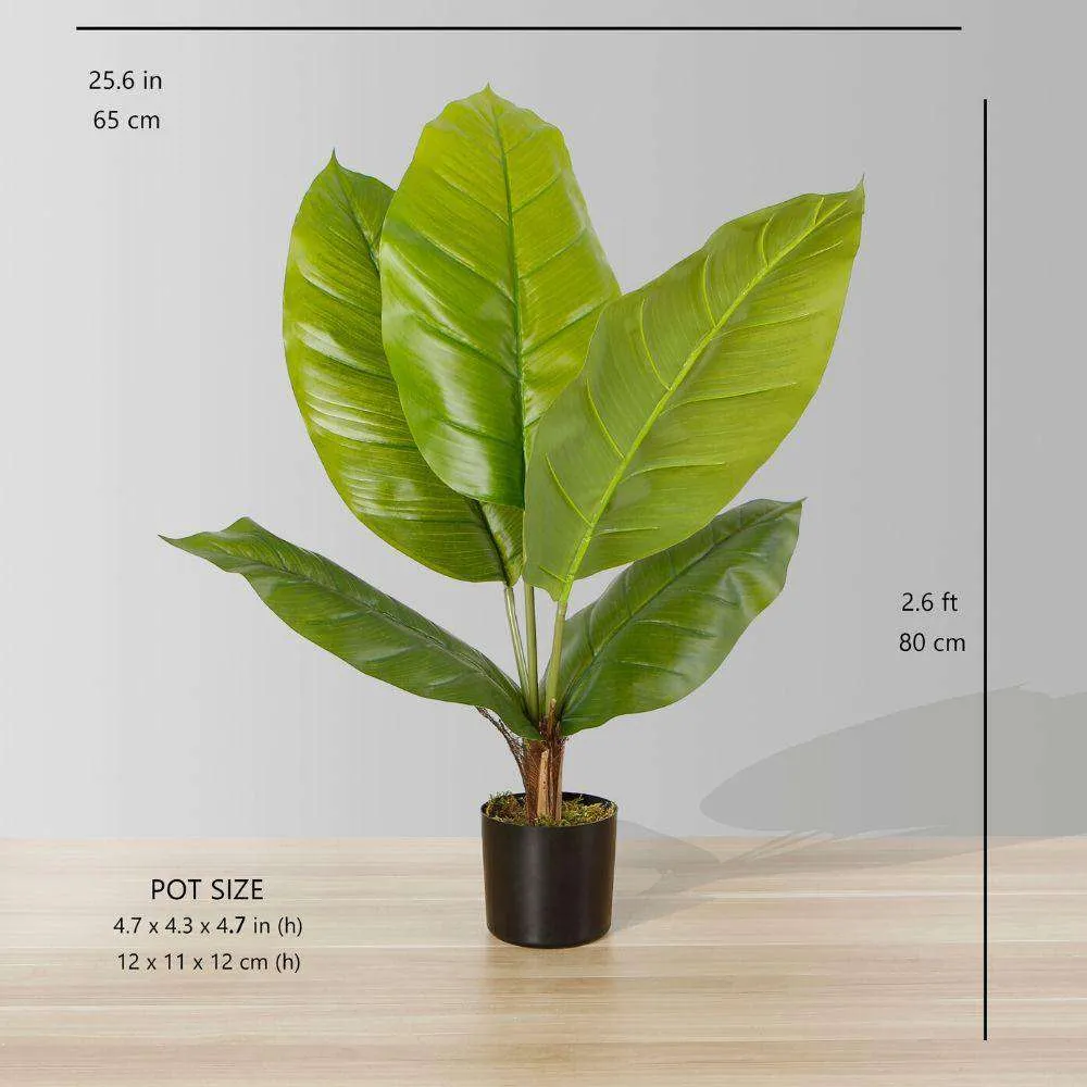 โรงงานกระถางใบ Spathiphyllum เทียม (หลายขนาด)