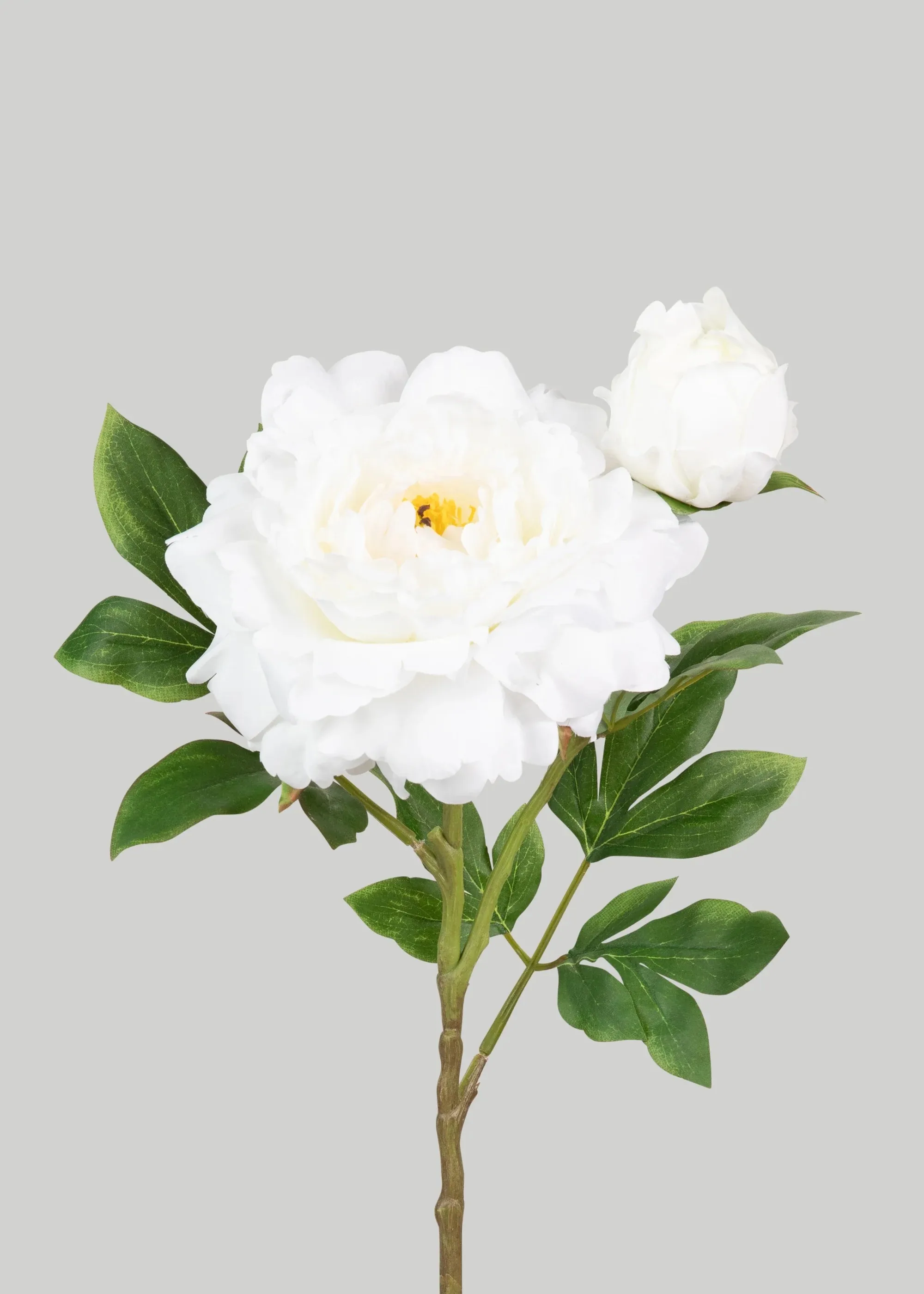 ดอกไม้ปลอม Peony Deluxe