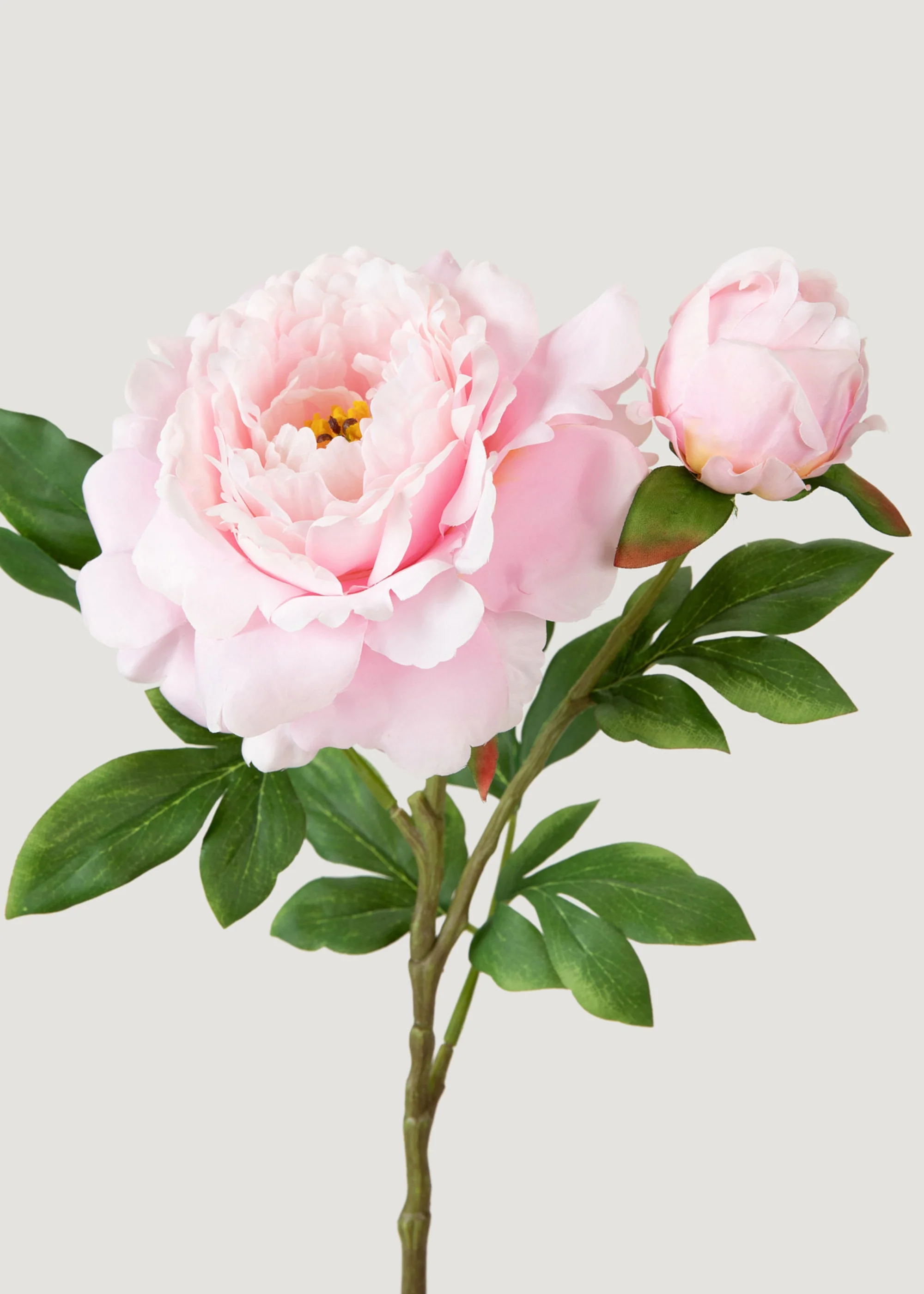 ดอกไม้ปลอม Peony Deluxe