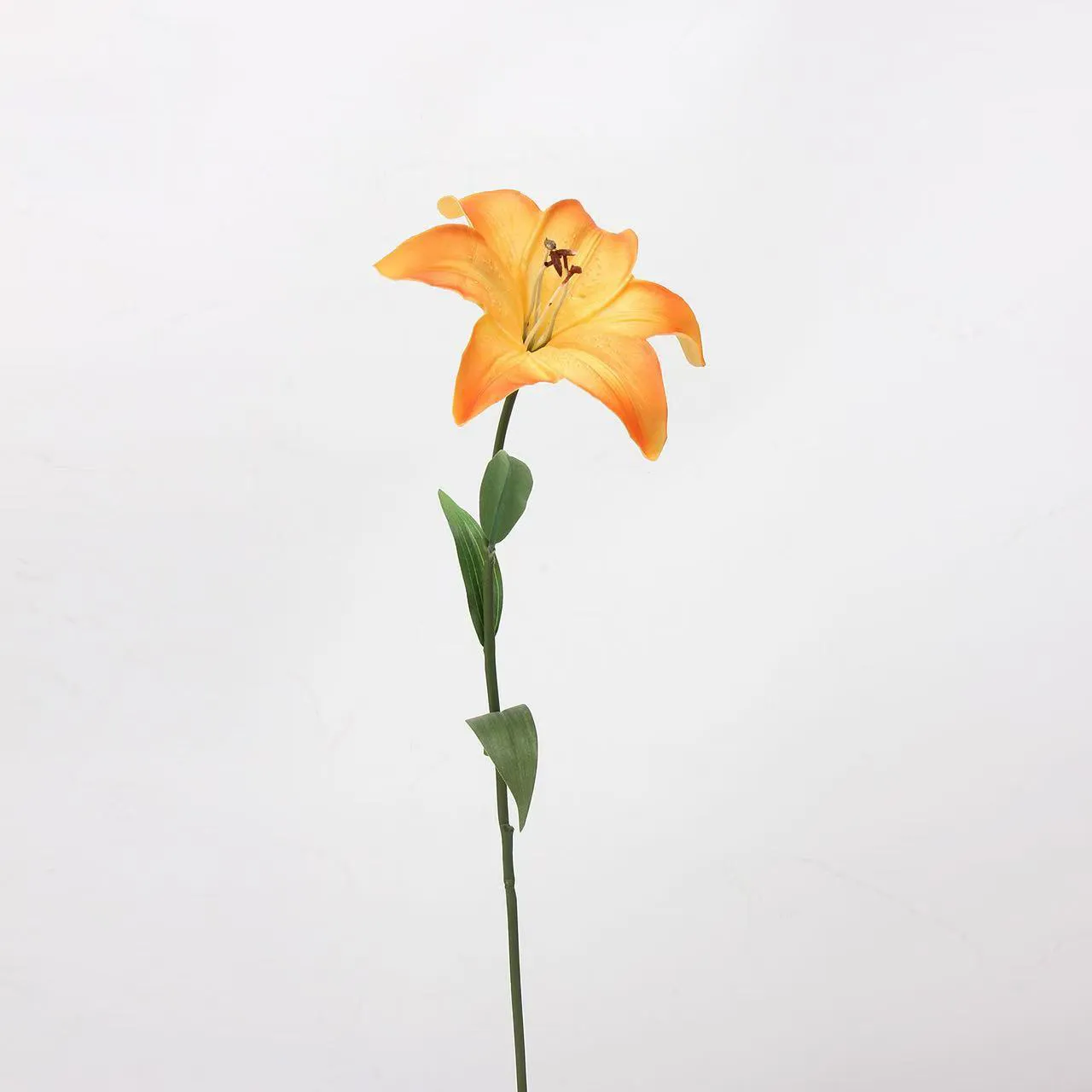 Lover Lily