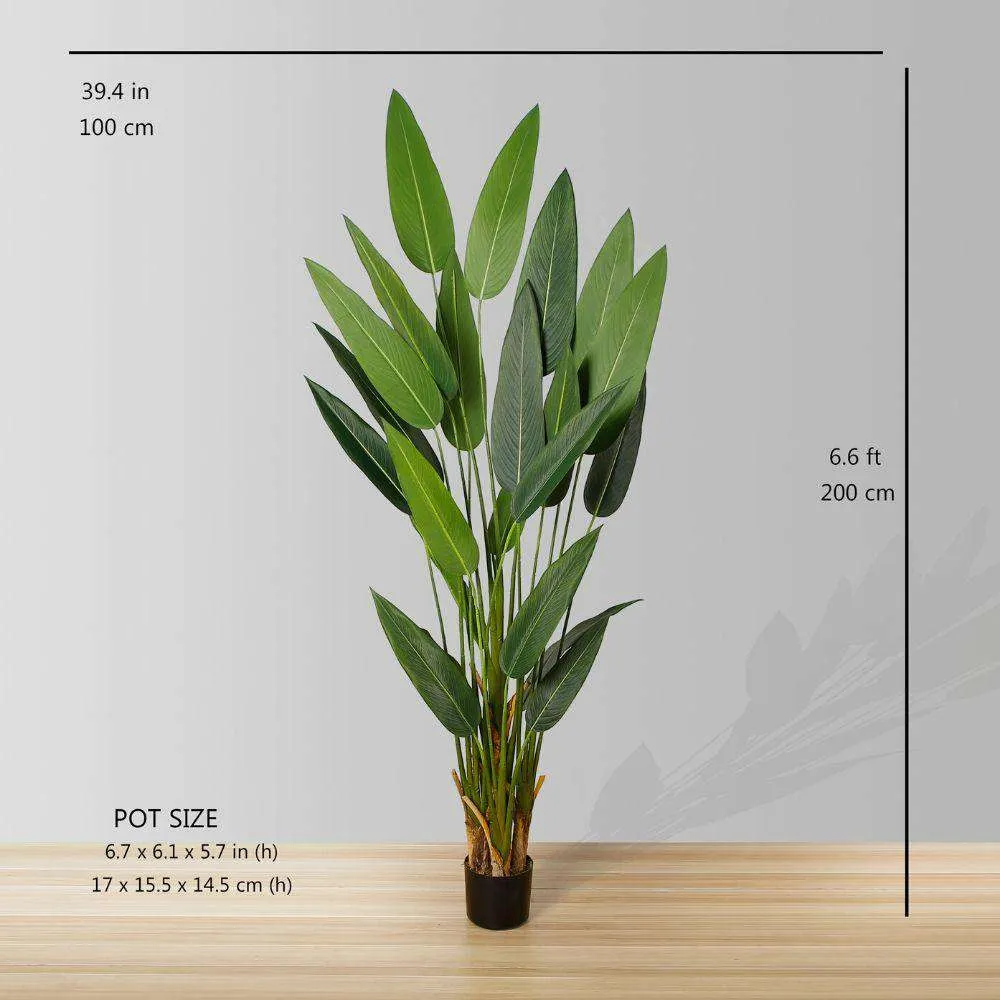 โรงงานกระถาง Canna เทียม (หลายขนาด)