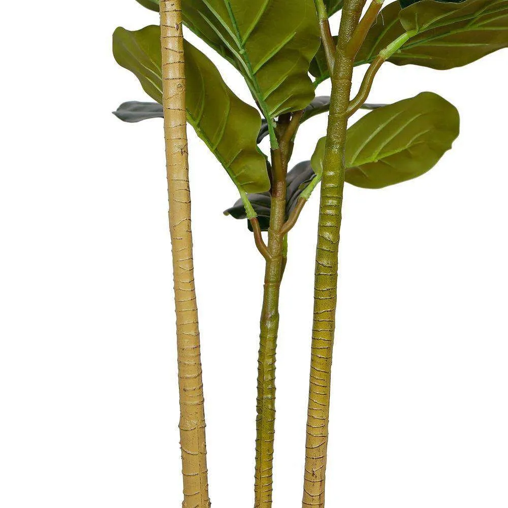 Lyrata Fiddle Fiddle Leaf Potted Potted (หลายขนาด)