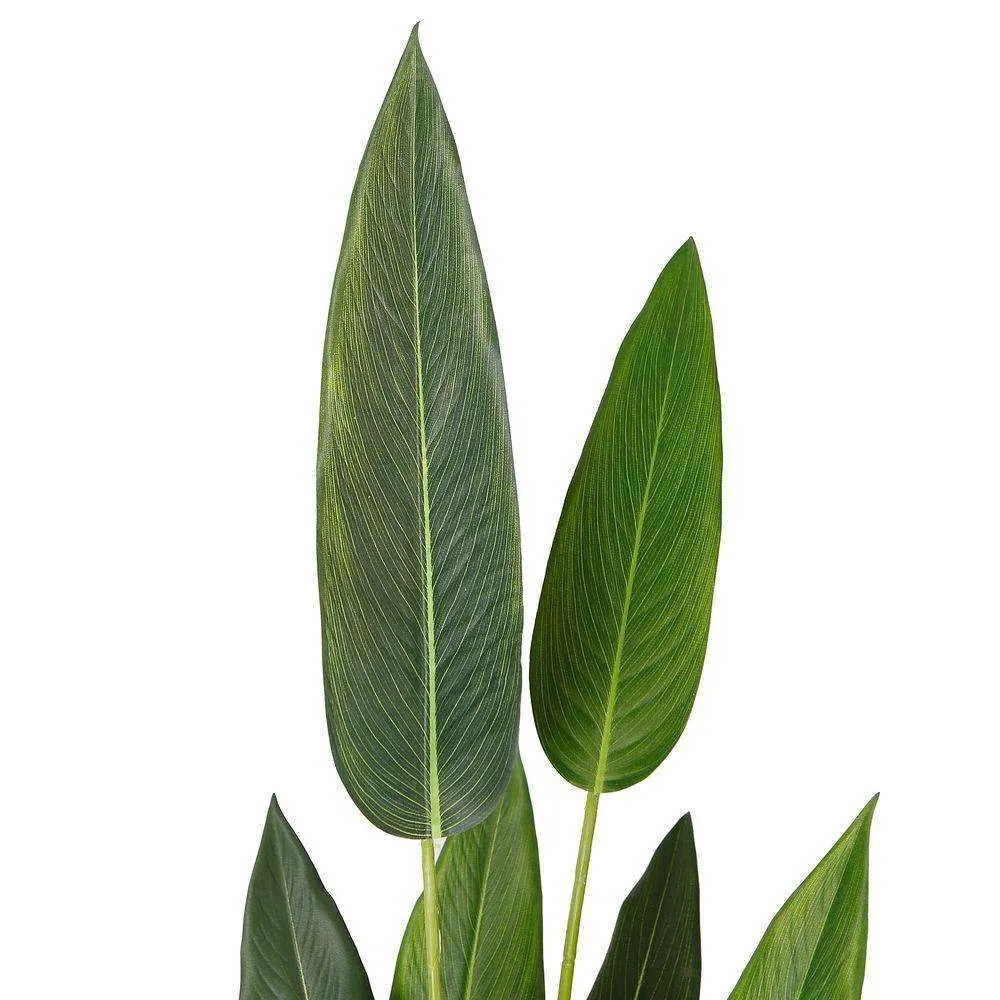 แอมเบอร์เบิร์ดเทียมของพืชกระถางสวรรค์ (หลายขนาด)