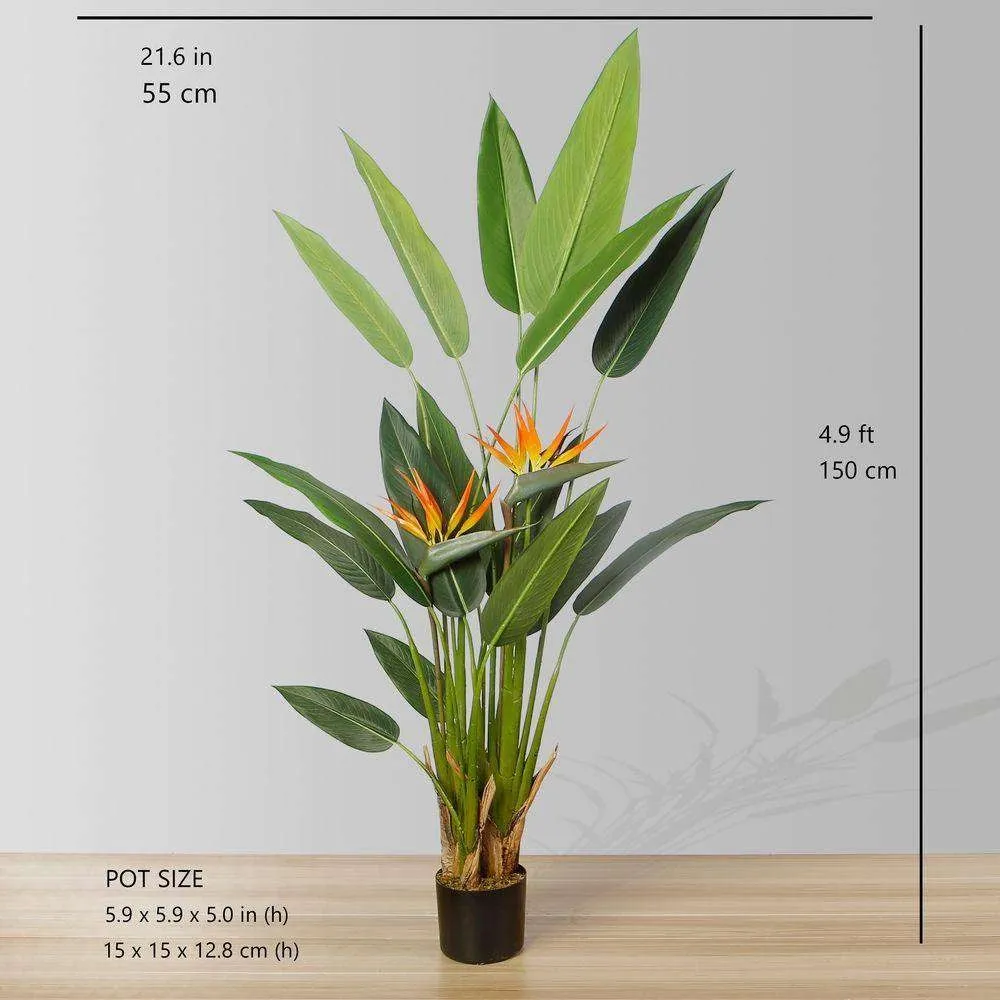 แอมเบอร์เบิร์ดเทียมของพืชกระถางสวรรค์ (หลายขนาด)